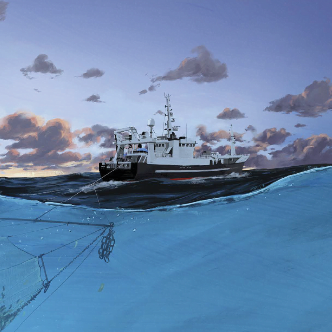 Stort reportage om det industriella fisket i Östersjön